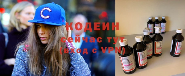 меф Вяземский